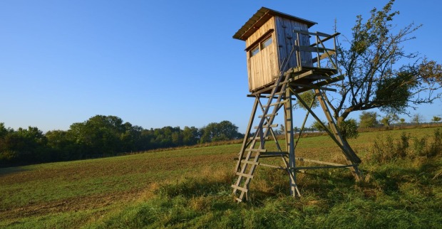 Ein Hochstand steht am Rande eines Waldes