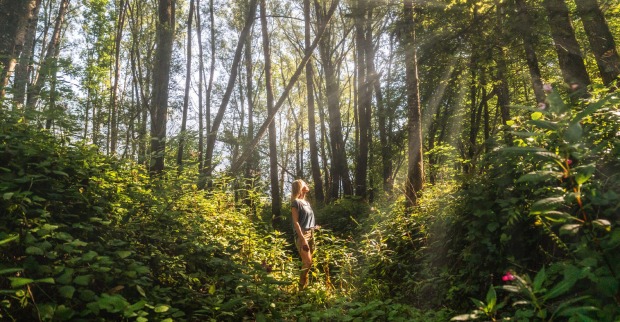 Frau bei Waldspaziergang | Credit: TVB Osttirol/Peter Maier