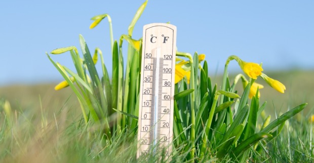 Am 10. Juli ist Siebenbrüdertag. Laut Bauernregel könnte das Wetter an diesem Tag den Sommer für sieben Wochen prägen.