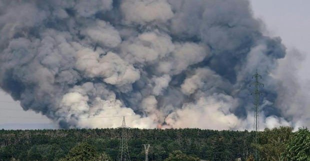 Großbrand im Föhrenwald bei St. Egyden: Gewaltige Rauchwolke steigt über dem Wald in Niederösterreich auf.