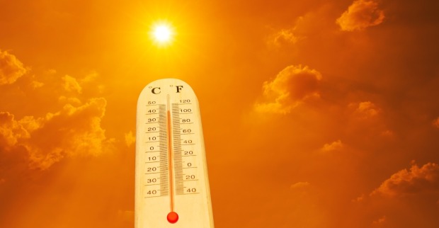 Sommer Österreich: In Bad Deutsch-Altenburg wurden neue Rekordwerte von 41,2 Grad gemessen.