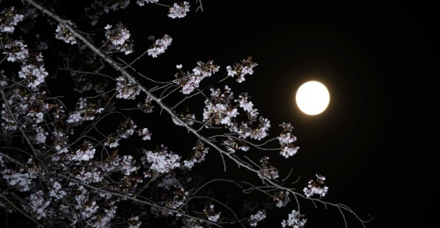 Vollmond September 2026: Weil er dem Herbstbeginn besonders nahe liegt, wird er als Erntemond bezeichnet.