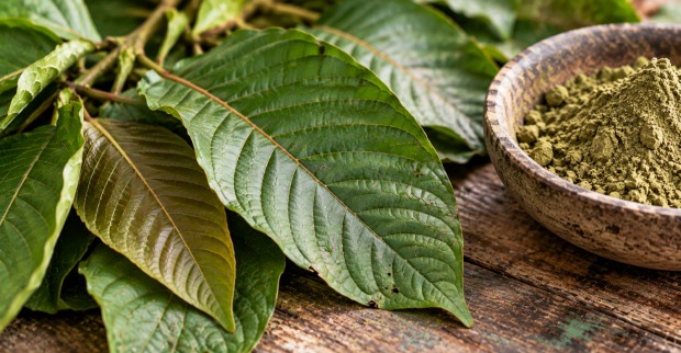 Kratom-Blätter und grünes Kratom-Pulver auf einem Holztisch.
