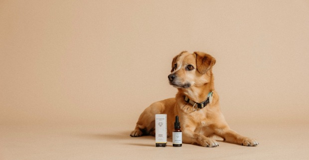 Kleiner Hund vor einer kleinen Flasche Tropfen | Credit: Biogena
