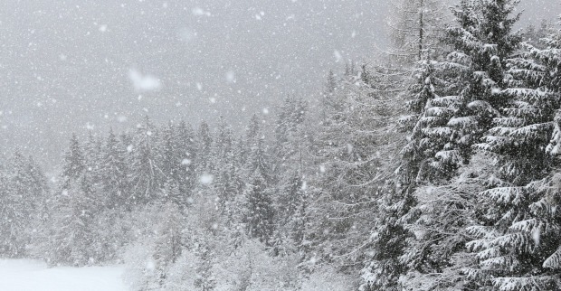 Schnee in Österreich: Besonders betroffen sind Vorarlberg, Tirol, Salzburg und Teile der Obersteiermark.