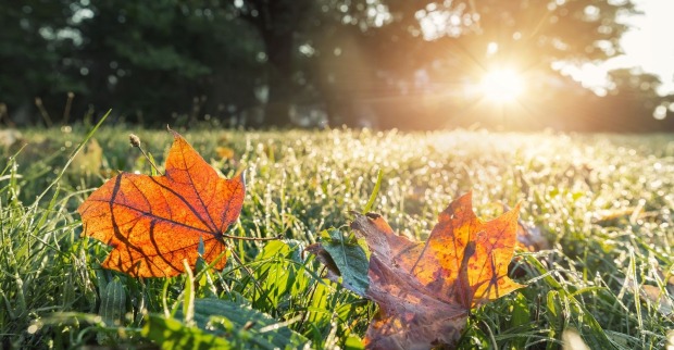 Herbstliches Wetter mit Regen und Sonne.
