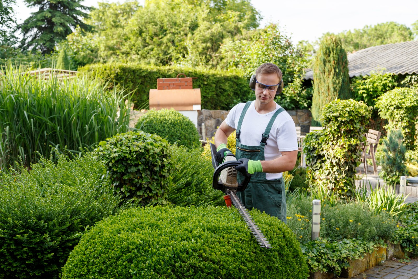 Die nächste Gartenarbeit wird ein Highlight | Credit: iStock.com/juefraphoto Mann trimmt eine Hecke | Credit: iStock.com/juefraphoto