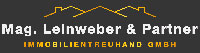 Leinweber & Partner Logo