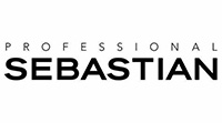Sebastian Professional Logo