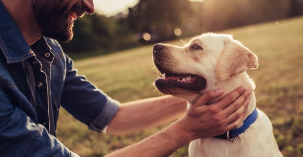 Innige Freundschaft zwischen Mann und seinem Hund | Credit: iStock.com/Vasyl Dolmatov