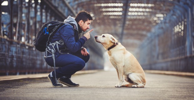 Ein Mann mit seinem Hund | Credit: iStock.com/Chalabala