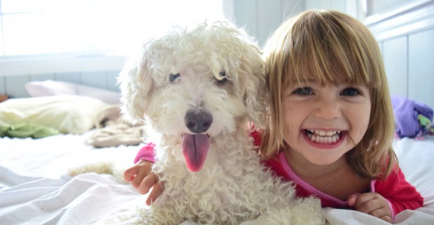 Kleines Mädchen hält ihren kleinen weißen Hund eng an sich gedrückt | Credit: iStock.com/Lisa5201