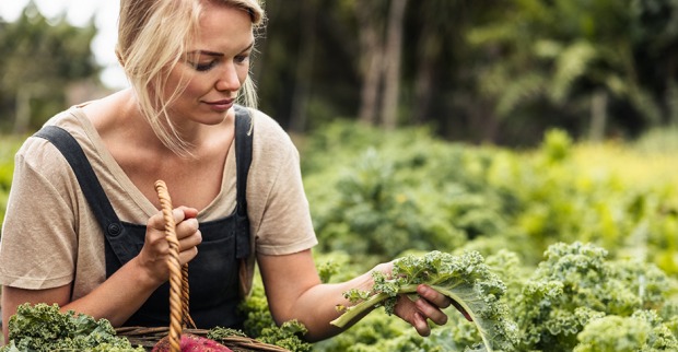 Junge Frau erntet frisches Gemüse | Credit: iStock.com/jacoblund