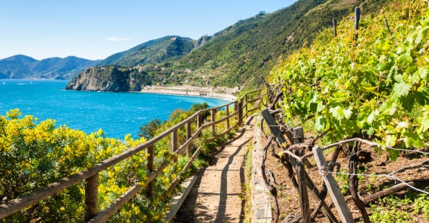 Wanderweg Richtung Strand in der Region der Cinque Terre | Credit: iStock.com/Olga_Gavrilova