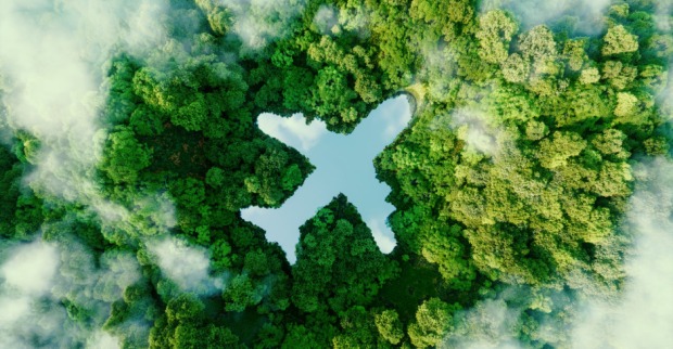 Flugzeug Umriss in einem Wald | Credit: iStock.com/Petmal