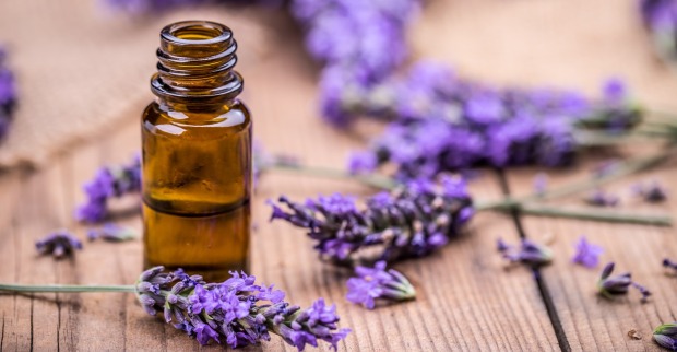 Lavendel Öl zur Beruhigung | Credit: iStock.com/grafvision